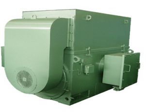 YTM、YHP、YMPS系列磨煤機(jī)用三相異步電動(dòng)機(jī)