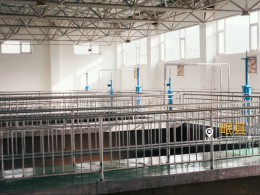 我司承建的呼和浩特盛樂國際機(jī)場飛行區(qū)場道1段標(biāo)順利通過竣工驗(yàn)收